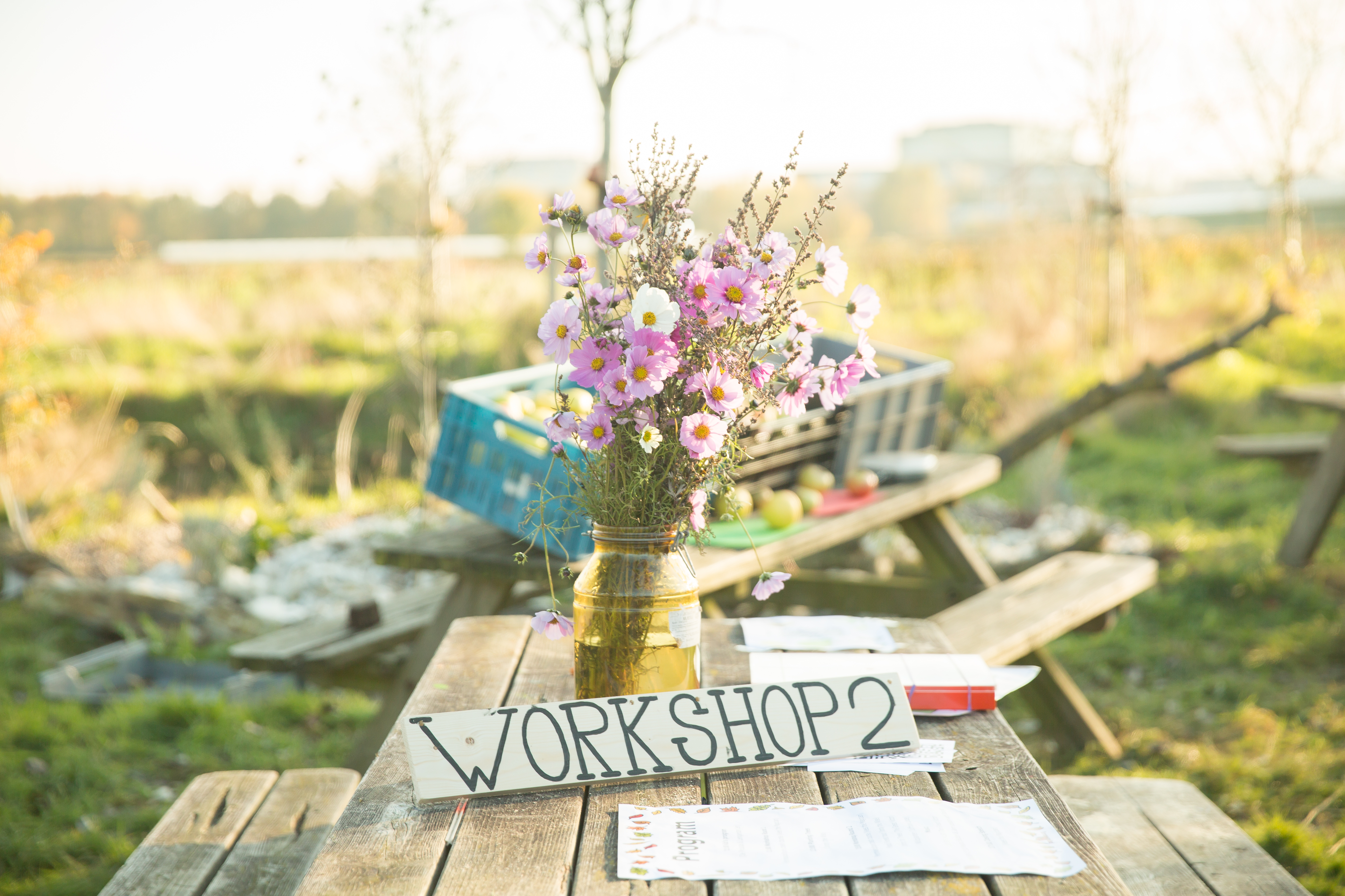 Wildcard en Workshop: het ontwerpen van complexe agroforestry systemen